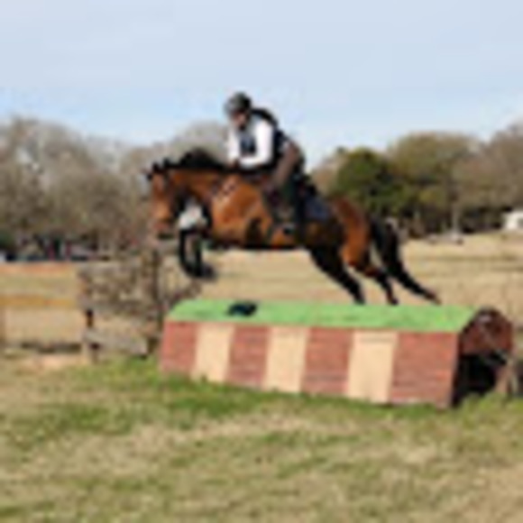 lcequestrian93
